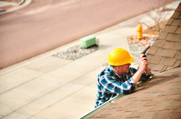 Best Roof Moss and Algae Removal  in Nanakuli, HI